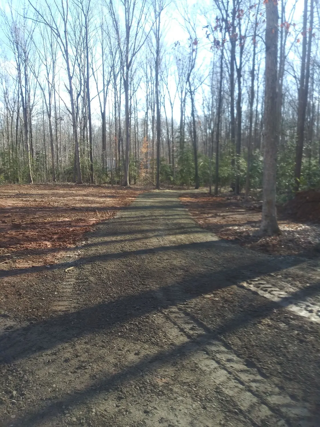 Cleared and graded ground on a wooded lot after excavation
