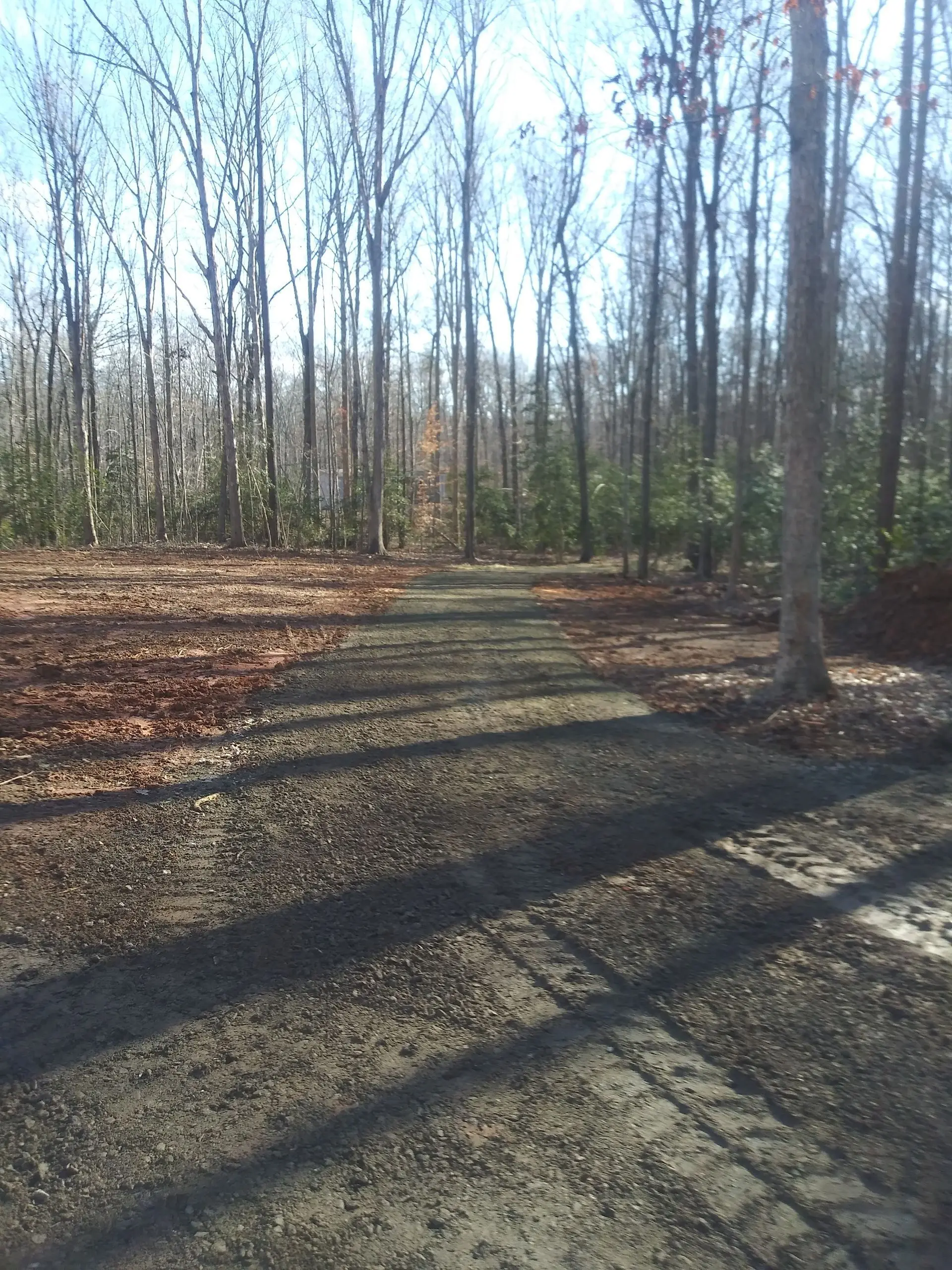 Cleared and graded ground on a wooded lot after excavation