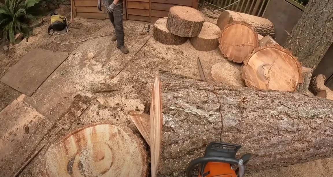 Cut logs stacked after tree removal on a cleared lot