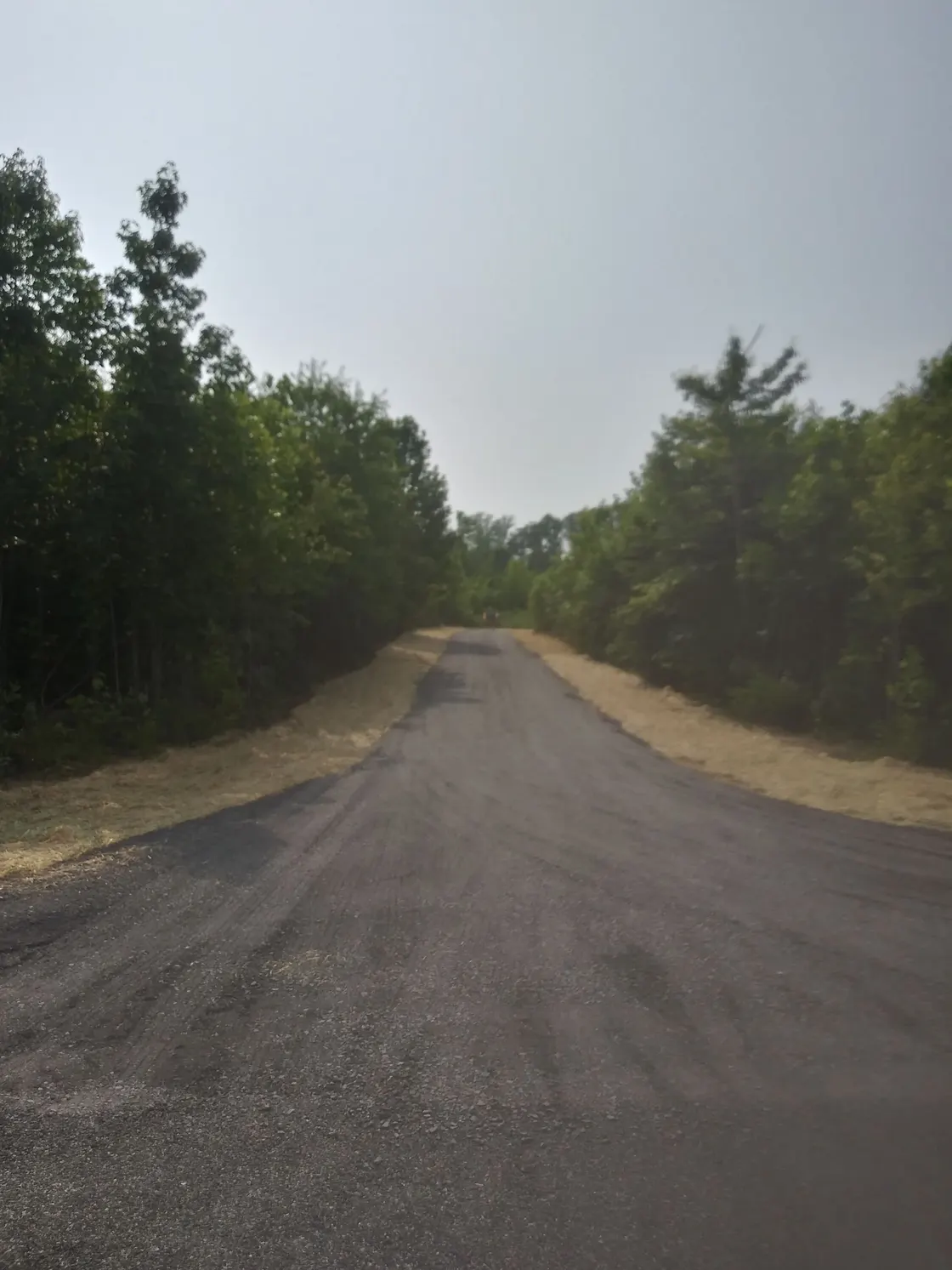 Newly paved rural road cut through wooded land